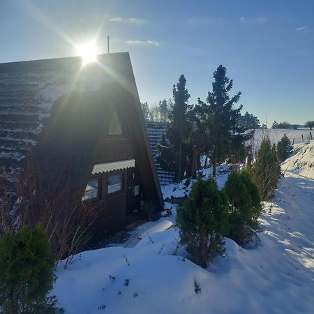 Haus Am See Willingen Willingen  Kültér fotó