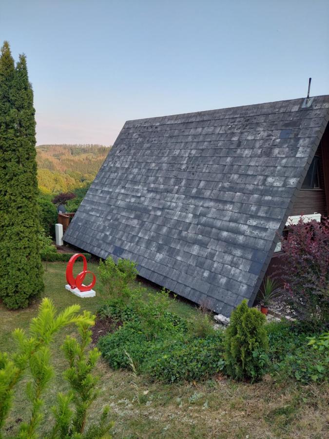 Haus Am See Willingen Willingen  Kültér fotó