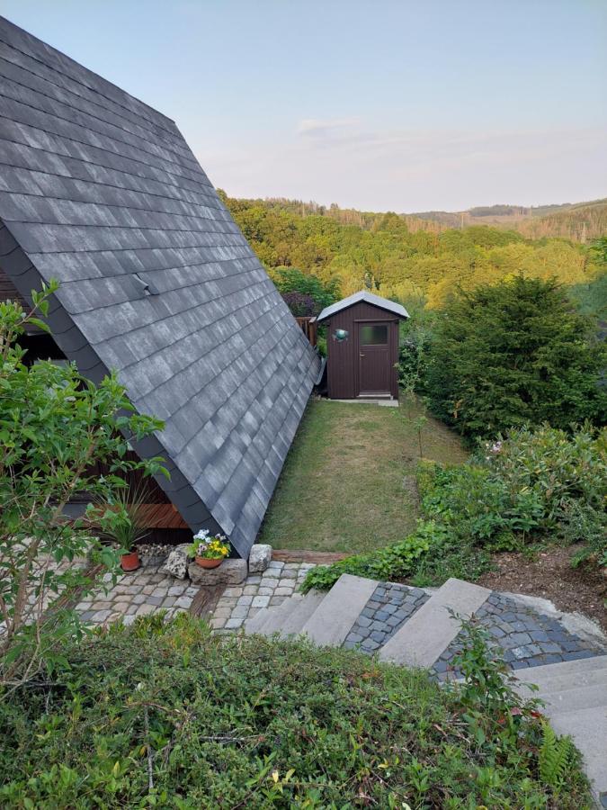 Haus Am See Willingen Willingen  Kültér fotó