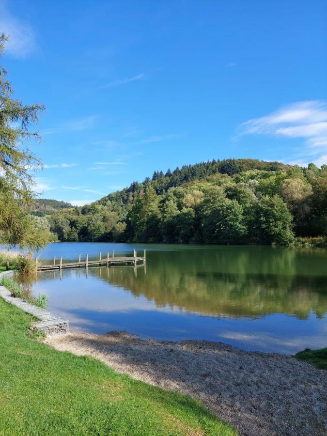 Haus Am See Willingen Willingen  Kültér fotó