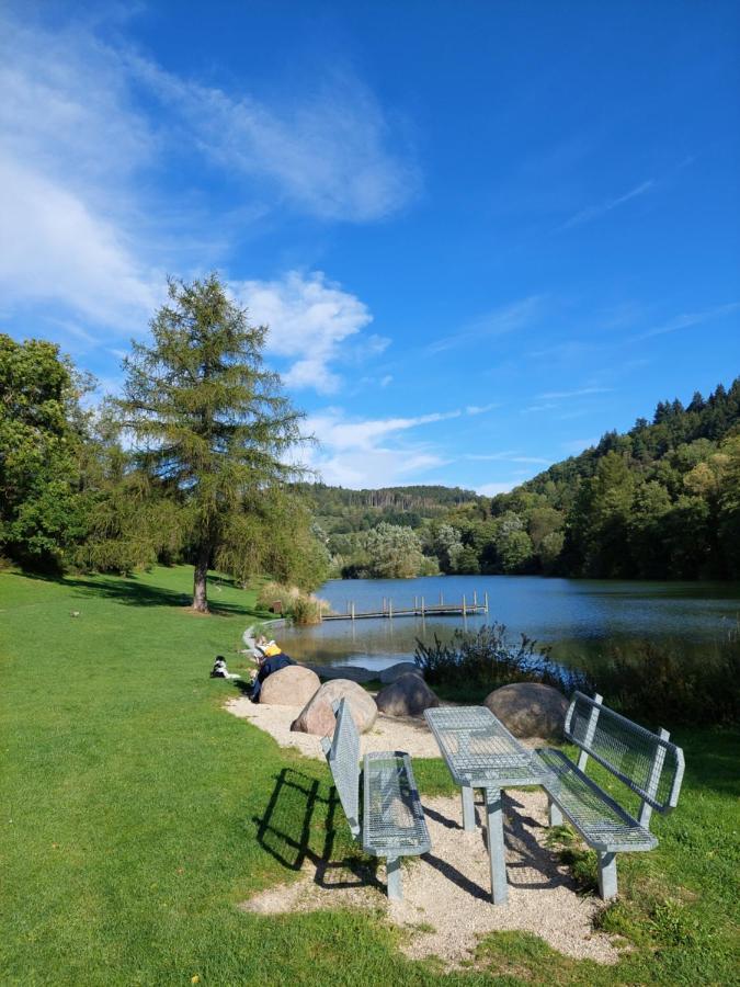 Haus Am See Willingen Willingen  Kültér fotó