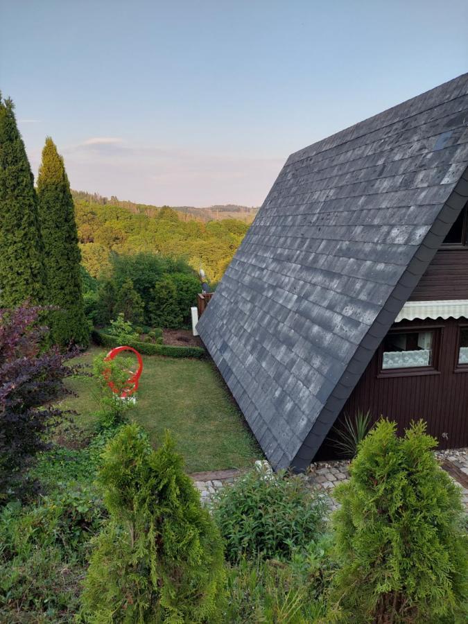 Haus Am See Willingen Willingen  Kültér fotó